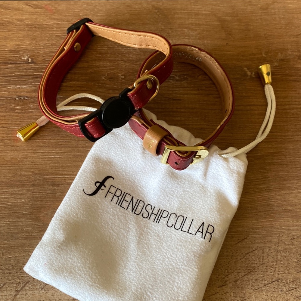 Friendship Cat Collar Set